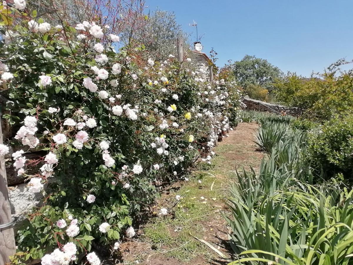Rosas Da Granja - Casa De Campo Kültér fotó