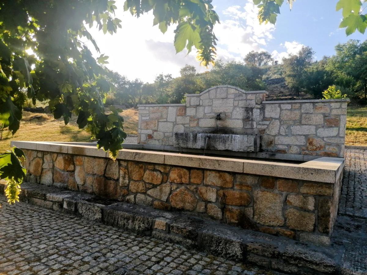 Rosas Da Granja - Casa De Campo Kültér fotó